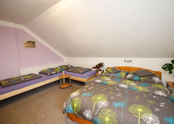 U Sýkorů Affittacamere 3*